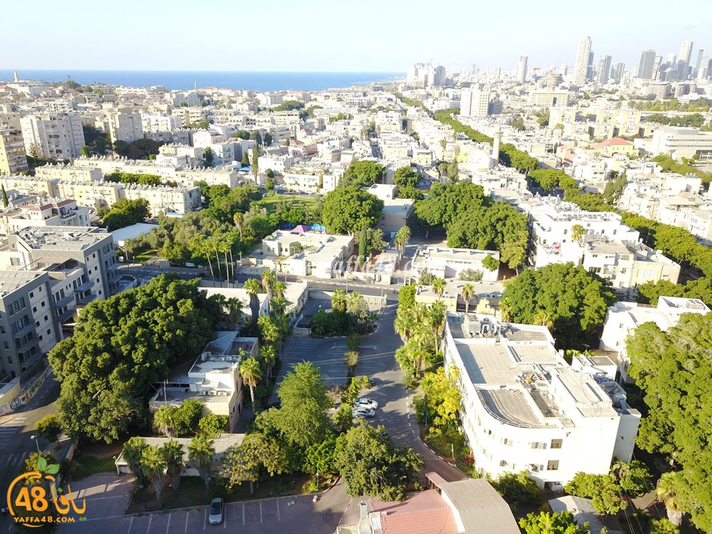 jamal basha tsterre (30).JPG